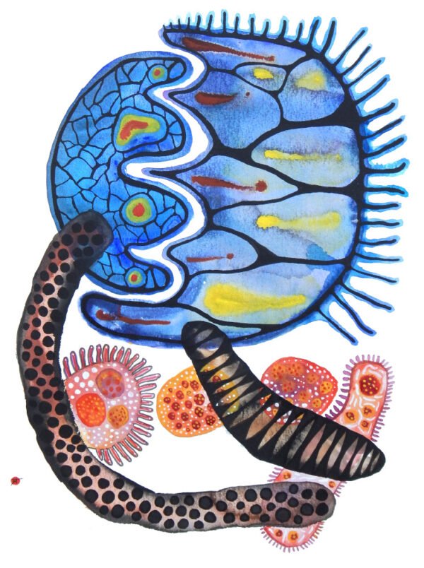 "Symbiosis"