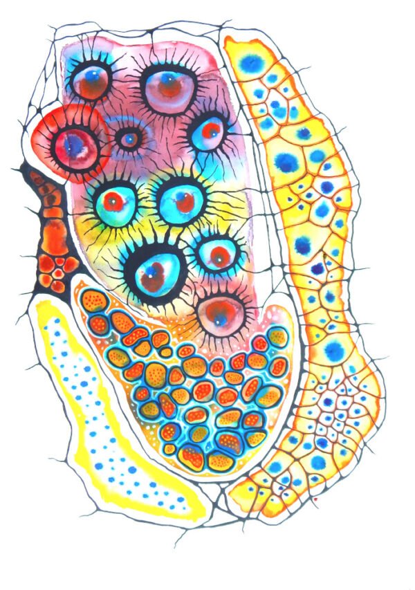"On The Coral Reef"