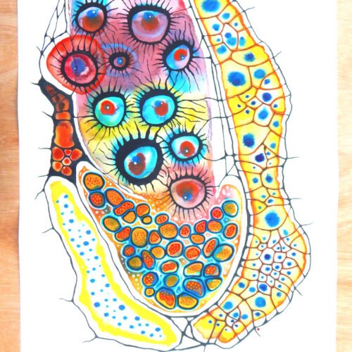 "On The Coral Reef"