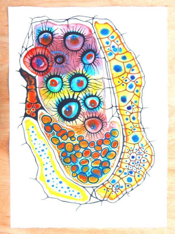 "On The Coral Reef"